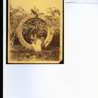 Print-outs of internet images researched in design process by Joe Vaněk
