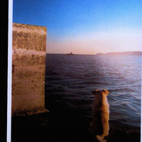 Images used in design research