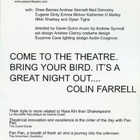 Colour printed flyer for Mac-Beth 7 by Pan Pan Theatre Company at the Project Arts Centre