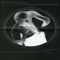 Printed programme of A Bronze Twist of your Serpent Muscles by Pan Pan Theatre Company