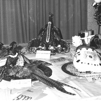 Competition - Food Presentation