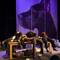 Colour photograph from rehearsal of The Rehearsal - Playing the Dane by Pan Pan Theatre Company
